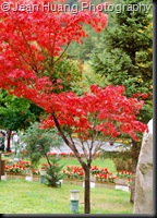 Entrance to Jiuzhaigou, Sichuan, China