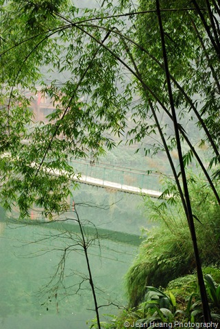 [Beautiful Bamboo Forest - Mount Emei, Sichuan Province, China[11].jpg]