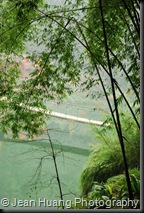 Beautiful Bamboo Forest - Mount Emei, Sichuan Province, China Beautiful Bamboo Forest - Mount Emei, Sichuan Province, China
