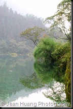 Shallow Stream Water - Qingyin Pavilion, Mount Emei, Sichuan Province, China Shallow Stream Water - Qingyin Pavilion, Mount Emei, Sichuan Province, China