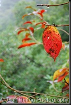 Zhangjiajie, Hunan, China (2)