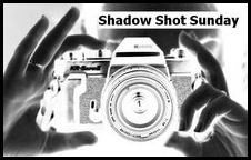 Shadow Shot Sunday logo1