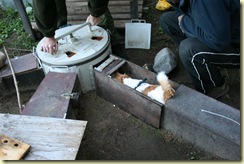 IMG_2733 IMG_2733