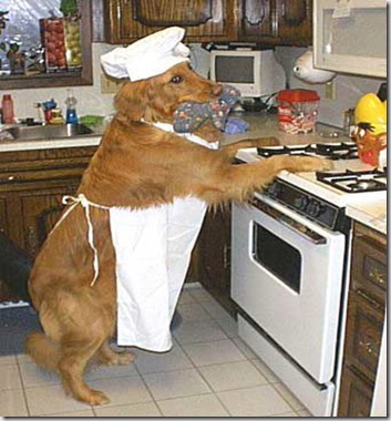dog_helping_in_kitchen