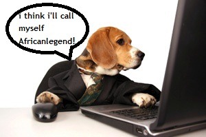 [dog on the computer[12].jpg]