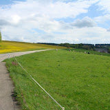  &ndash;  &ndash; 26-May-2010