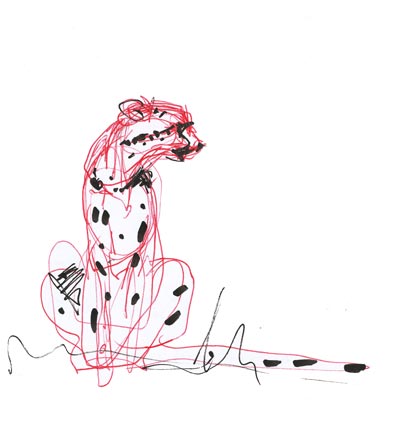 Alexandra Hedberg: Cheetah