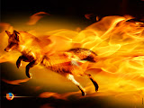 fire_fox.jpg