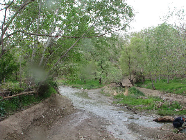 [تصویر: IMG_0780.jpg]