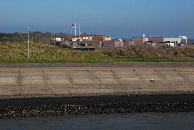 [20101011_0160[6].jpg]
