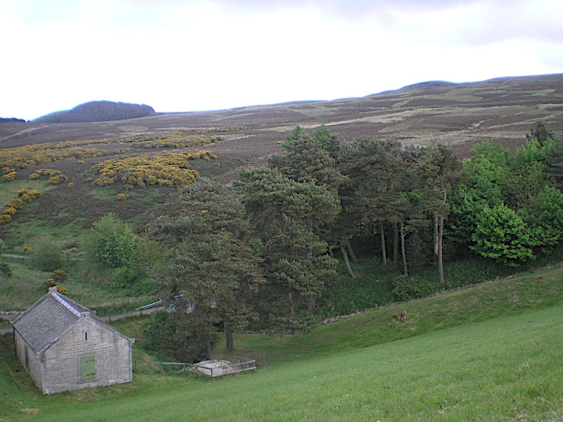 Photo de   Union Canal - N75 - Pentland Hills Reservoirs - Morningside