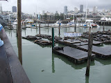 DSCF0082.JPG