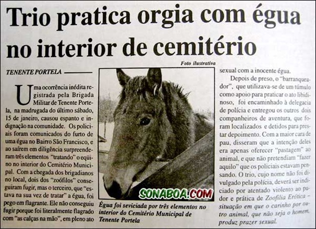 orgia