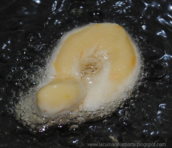 [Imatge 045[5].jpg]