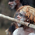 Asmat Owus Canoes IMG_1569.jpg, Ewer, West Papua, April, 2006, copyright Robert B. Dunbar, Dunbar Photos 2006