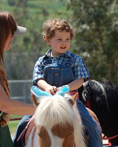 [small poney[3].jpg]