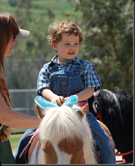 small poney