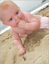 laguna beach 020