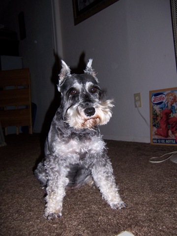 [Dogs and storms 7.29.09 004[2].jpg]