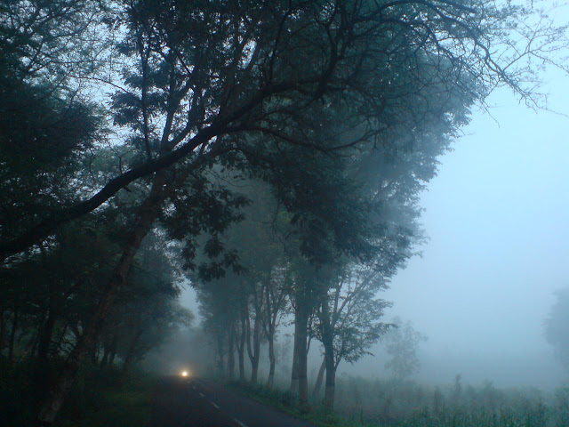 Kabut Di Sepanjang Lintasan Jogging