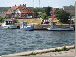 IMG_1106 IMG_1106