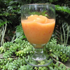 Easy Slush or Sorbet (For Adults)