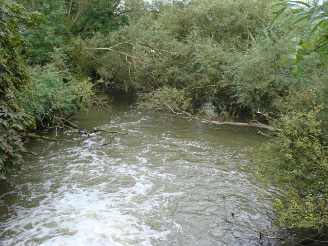 [DSC077084.jpg]