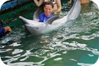 DSC04256 DSC04256