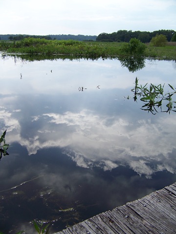 [100_73546.jpg]