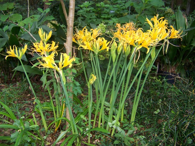 [100_87873.jpg]
