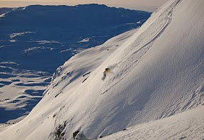 Stavsnuten