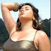 Namitha is a box office darling