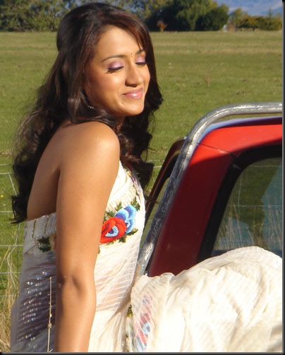 Tamil_sexy_hot_actress_Trisha_1_(13)