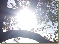 DSCF4031 DSCF4031