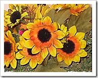 DSCF4827