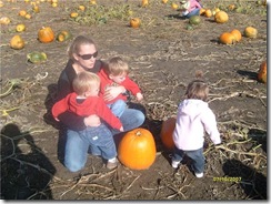 pumpkin9 pumpkin9