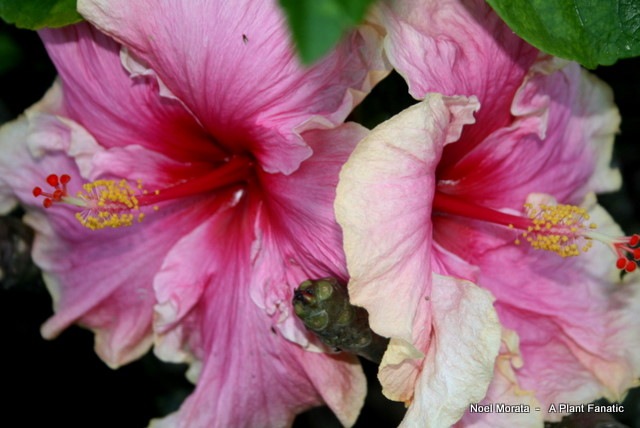 IMG_1455 IMG_1455