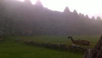 04262010247.jpg