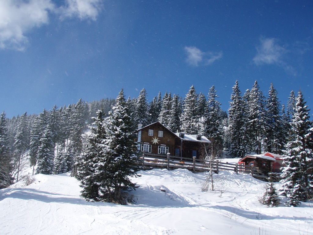 [P2230051[14].jpg]