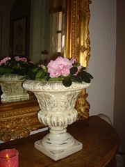 DSC05053