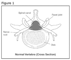 [ssfig1[8].png]