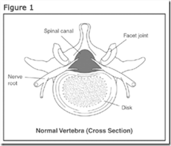 ssfig1
