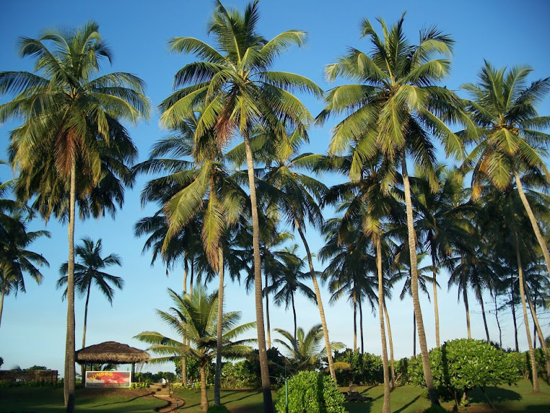 20100114071243.jpg