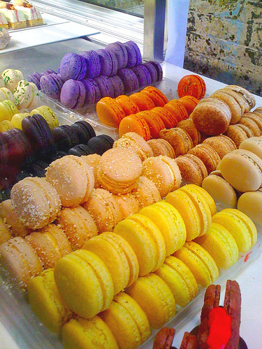 zumbo3.jpg