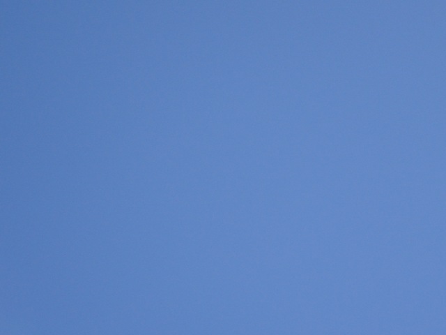 [DSC062133.jpg]