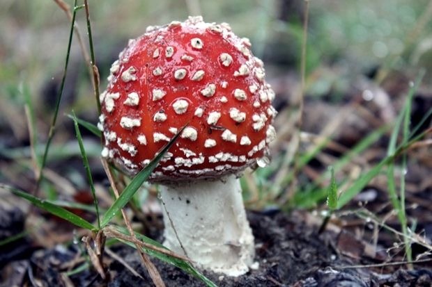 [høst1[1][4].jpg]