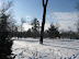 Snow thumb