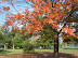 Phelps Grove Neighborhood thumb