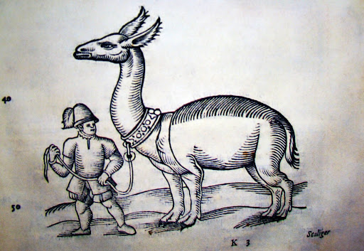 Special Collections and Archives