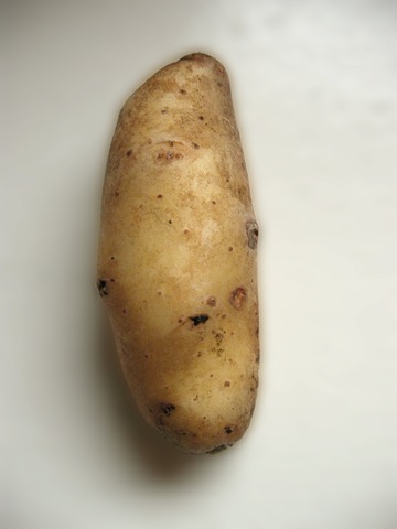 [potato4.jpg]